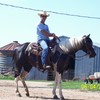 cowboy1