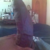 i got king kong in da trunk