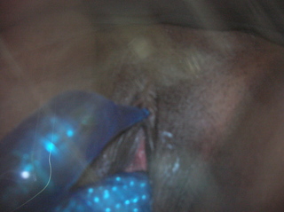 gudpussy