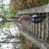 cpp2008