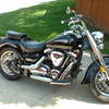 WildBiker