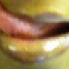 PukerUpp