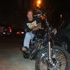 Devil Dog 91