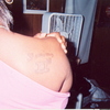 Shevette
