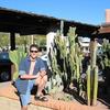 DesertFox66
