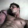 P.Versatile