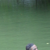 MrMeeche