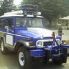 travelingtiger