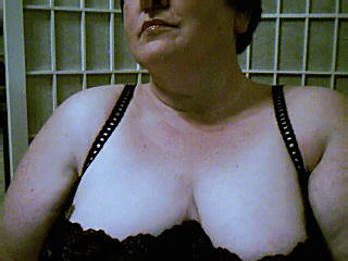 vanislecougar