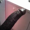 1REALMCKOY