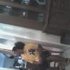 Danny-D 772-940-6859 call me