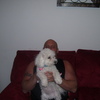 jeff2869