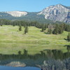 baldy304