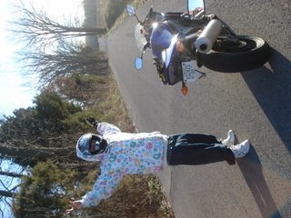 SpRinGz