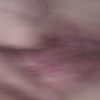 dolphinlover12