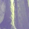 NYBORIQUA