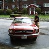 65 MuSStang