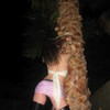 PhxHoney