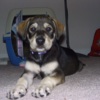 Dusty2009