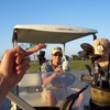 birddog010