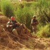 Bush_Craft