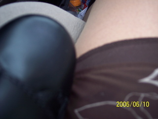 lap it up