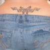 butterfly93084