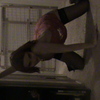 Michelle_wants