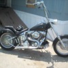 myrott