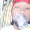 young n GROWN