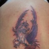 Tattherup