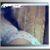Ms.Ex_PLi_CiT