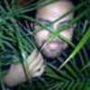 hirow001atyahoo