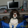 1missinglink