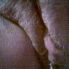 bambi67337