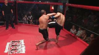 mma_albee