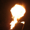 Aries_in_Sacramento