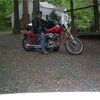 Two Quarts USMV MC