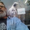merlin mike