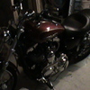 SgtSteve77