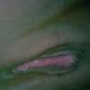 Need_2b_licked