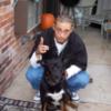 mixture_breed44