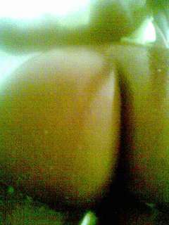 Just 4 him