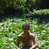 alfboss
