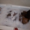 Wet_Wet27