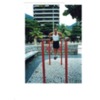 FOREVERYOUNG777