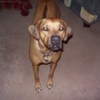 kaylos2011