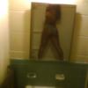 !!black stallion!!