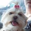 sweetbug27
