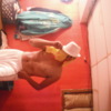 everblazin1